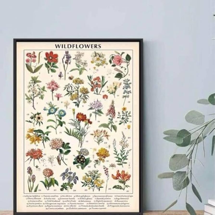 植物イラスト　ヴィンテージ　インテリアアート　額縁付き　壁掛け 楽天市場】アートパネル 植物 ヴィンテージの通販